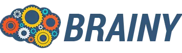 vps.control-panels.brainycp.name